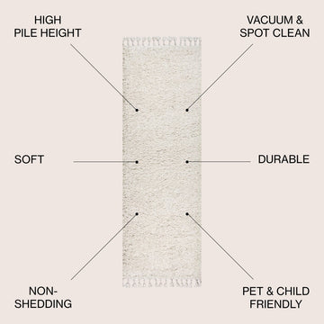 Mercer Shag Plush Tassel Area Rug